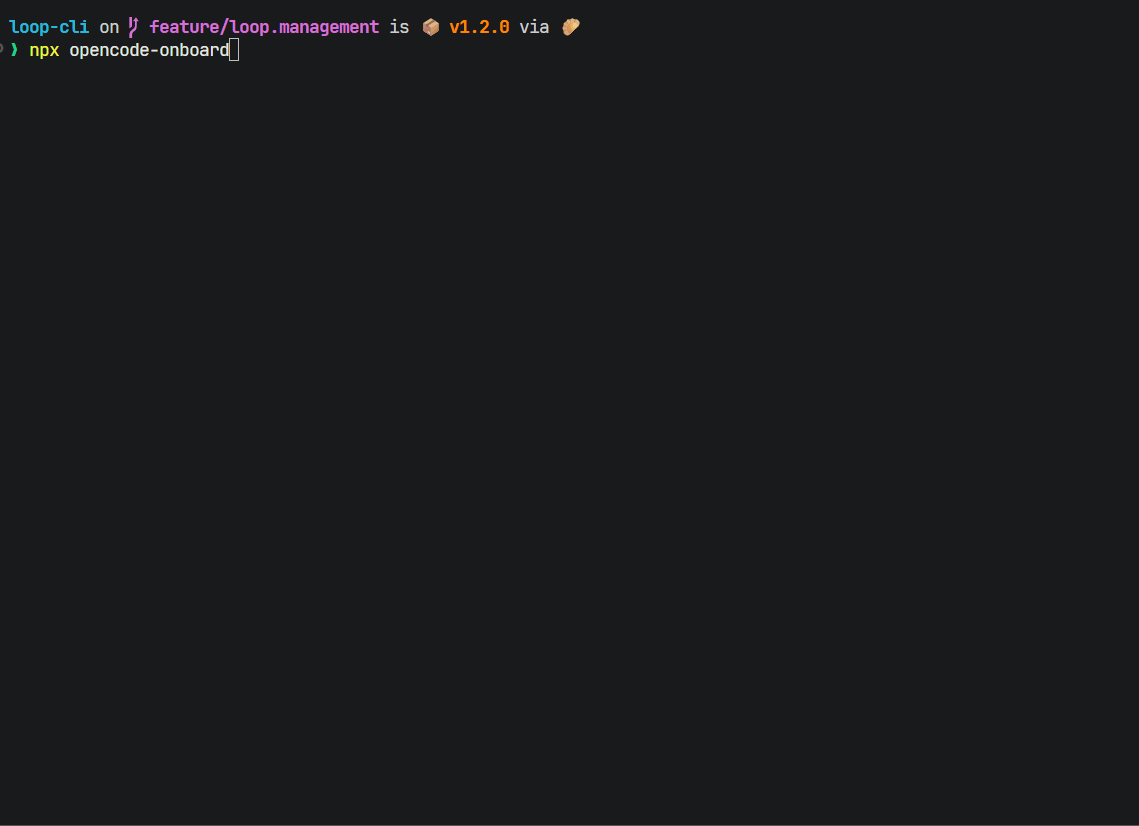 opencode-onboard wizard demo